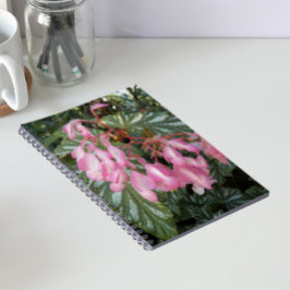Cuaderno Begonia Floral Ala de Ángel Rosa