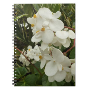Cuaderno Begonia Floral Blanca Tropical