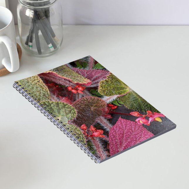 Cuaderno Begonia Floral Peluda Colorida (In Situ)