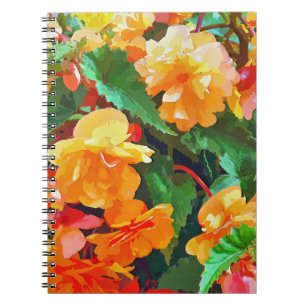 CUADERNO BEGONIAS