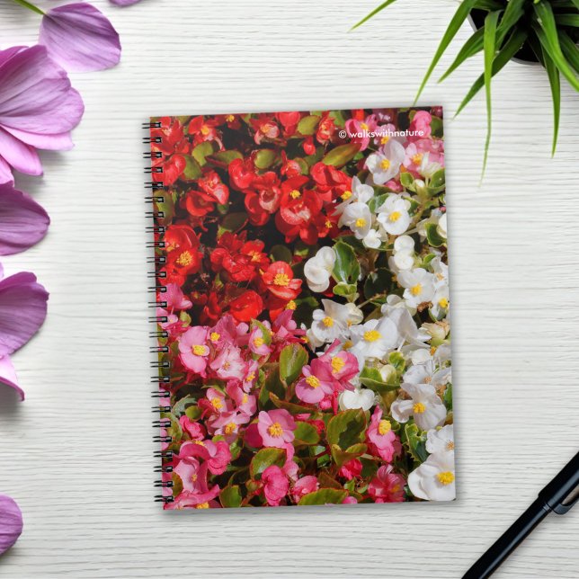 Cuaderno Begonias de cera colorida (Colorful Wax Begonias Journal Cover Photo)