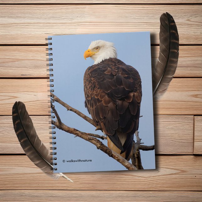 Cuaderno Bella águila calva en un árbol (Beautiful Bald Eagle in a Tree Journal Cover Photo)