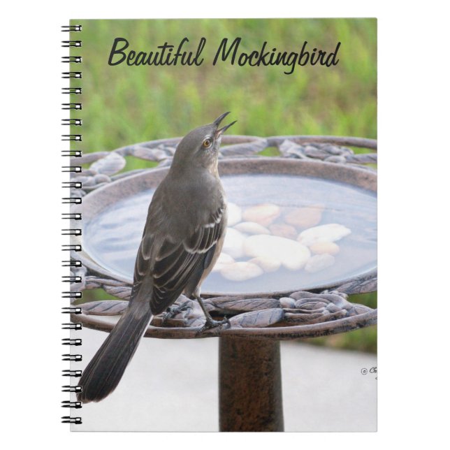 Cuaderno Bella Bloc de notas de Baño de Aves de Mockingbird (Frente)