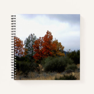 Cuaderno Bella caída......
