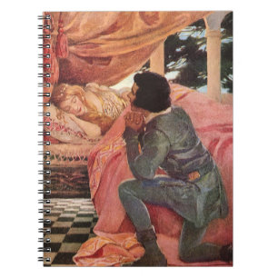 Cuaderno Bella Durmiente Vintage por Jessie Willcox Smith