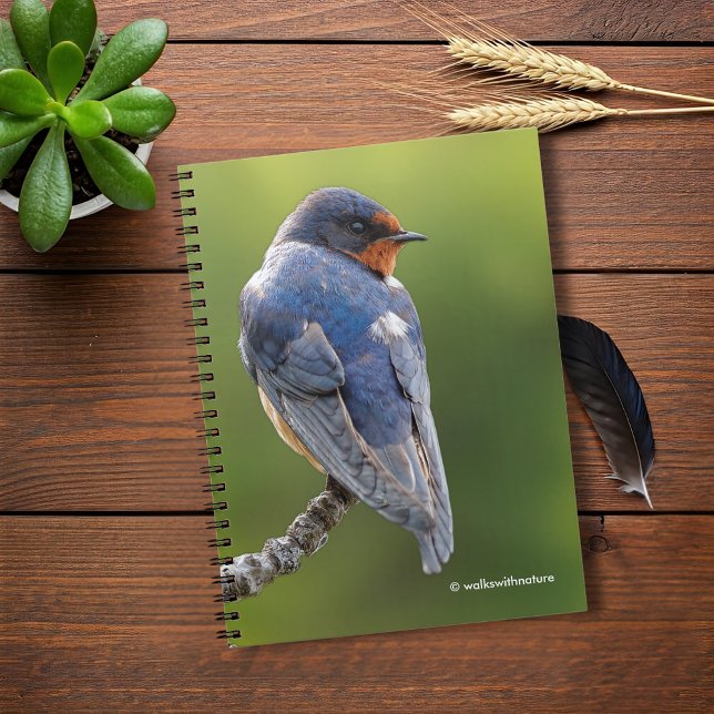 Cuaderno Bella golondrina en una sucursal (Beautiful Barn Swallow on a Branch Journal Cover Photo)