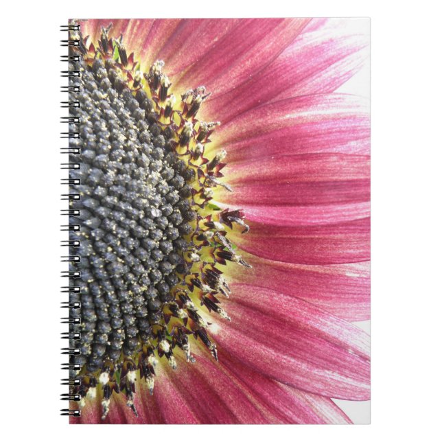 Cuaderno Bella portátil de girasol rosado (Frente)