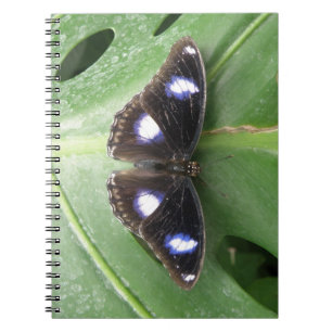 Cuaderno Bella portátil de mariposa con manchas azules