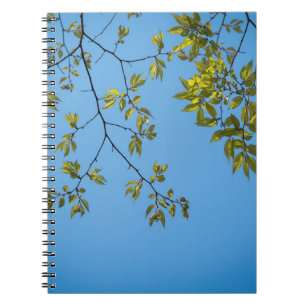 Cuaderno bella rama con abrazo de hojas verdes y amarillas