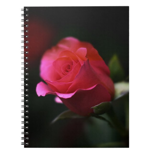 Cuaderno Bella Rosa Roja (Frente)