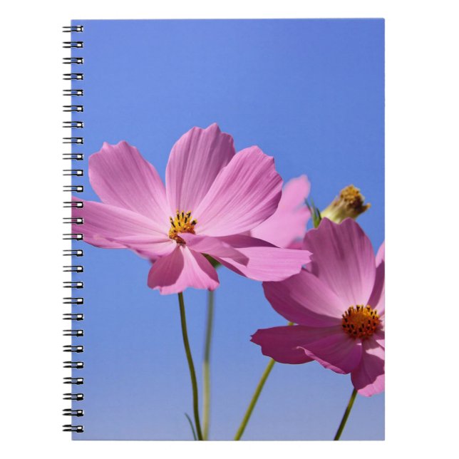 Cuaderno bellas flores rosas abrazando un cielo azul claro (Frente)