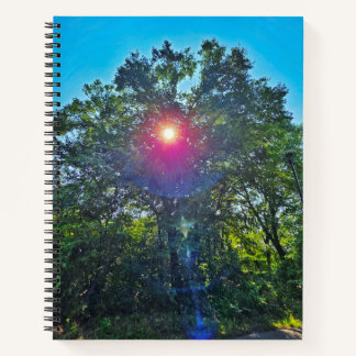 Cuaderno Belleza de la computadora portátil de Sun College