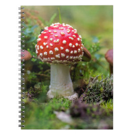 Cuaderno Belleza de otoño