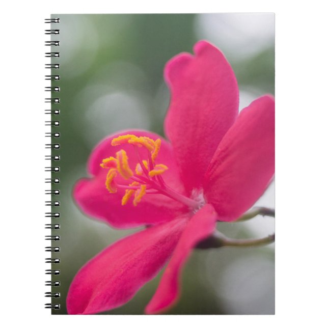 Cuaderno Belleza de Shanghái (Frente)
