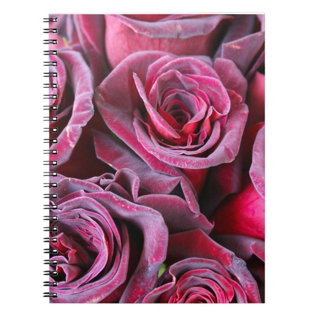 Cuaderno Belleza de terciopelo (Frente)