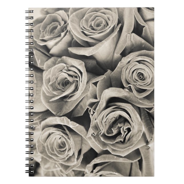 Cuaderno Belleza de Terciopelo Vintage (Frente)