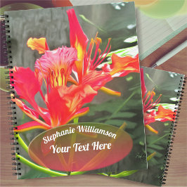 Cuaderno Belleza de Vallarta Flaming 1583