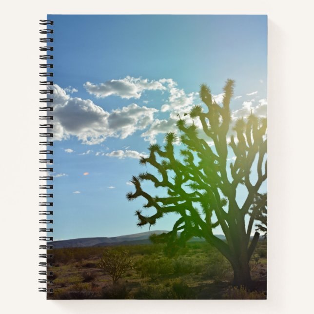 Cuaderno Belleza del desierto (Anverso)