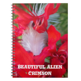 Cuaderno Belleza Delicada: Flor roja con pluma blanca