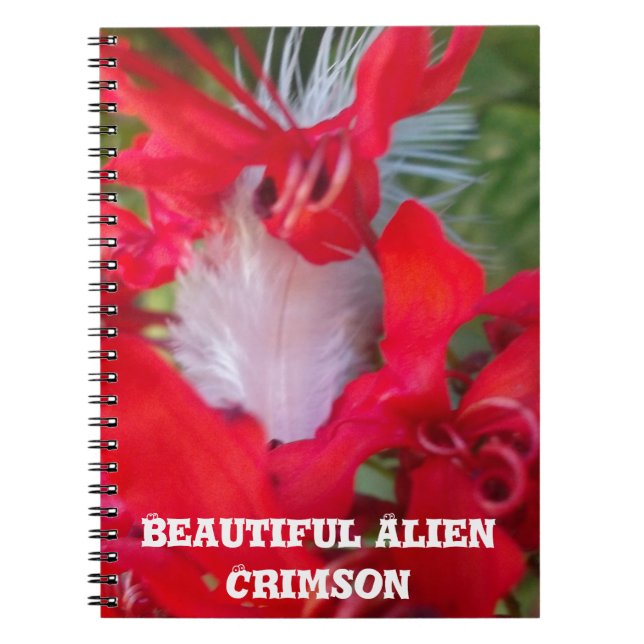 Cuaderno Belleza Delicada: Flor roja con pluma blanca (Frente)