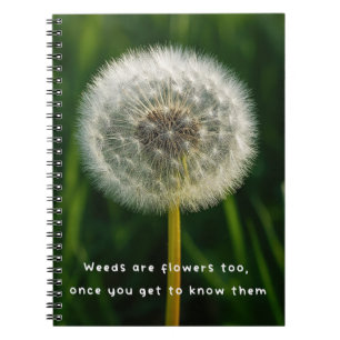Cuaderno Belleza ojo espectador diente de león maleza cita