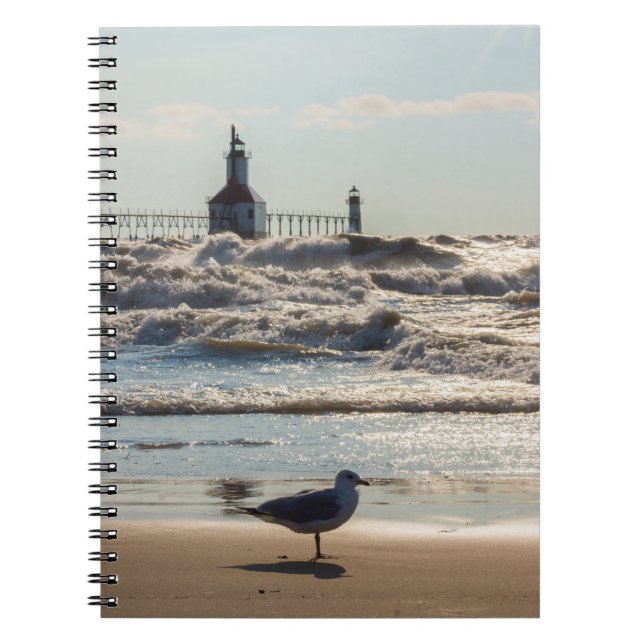 Cuaderno Belleza Y Fuerza Portátil (Frente)