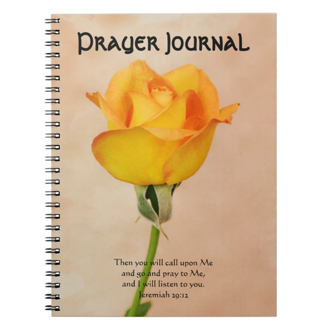 Cuaderno Bello Diario de Rosa (Frente)