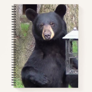 Cuaderno Bello oso negro
