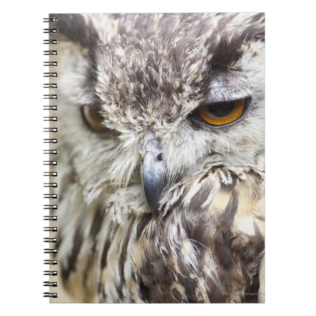 Cuaderno Bengal Eagle Owl (Frente)