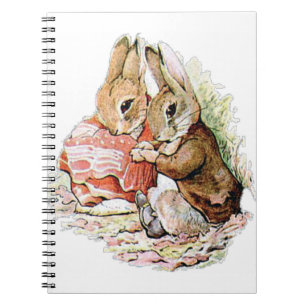 Cuaderno Benjamin Bunny se topó con Peter Rabbit