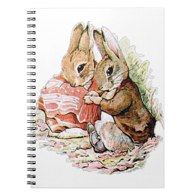 Cuaderno Benjamin Bunny se topó con Peter Rabbit (Frente)