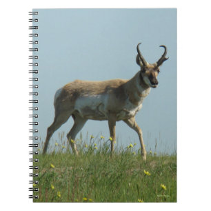 Cuaderno Berrendo A10 caminando a través de flores silvestr