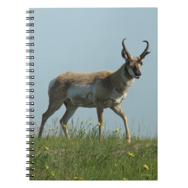 Cuaderno Berrendo A10 caminando a través de flores silvestr (Frente)