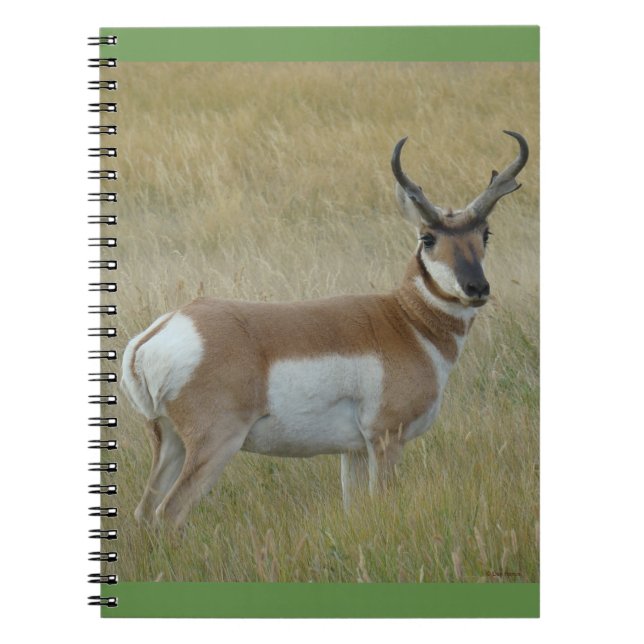 Cuaderno Berrendo Macho Grande A1 (Frente)