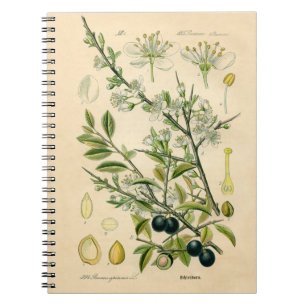 Cuaderno Berry de flores antiguas de espinas negras