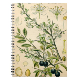 Cuaderno Berry de flores antiguas de espinas negras