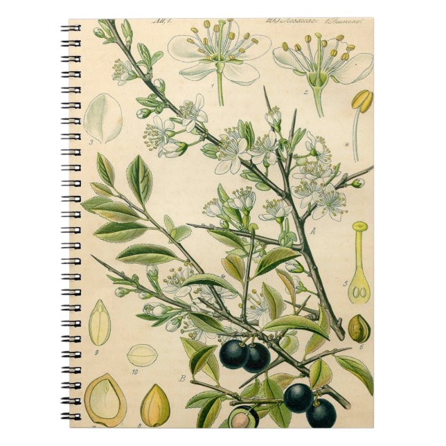 Cuaderno Berry de flores antiguas de espinas negras (Frente)
