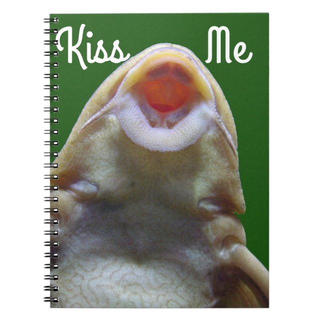 Cuaderno Besando peces (Frente)