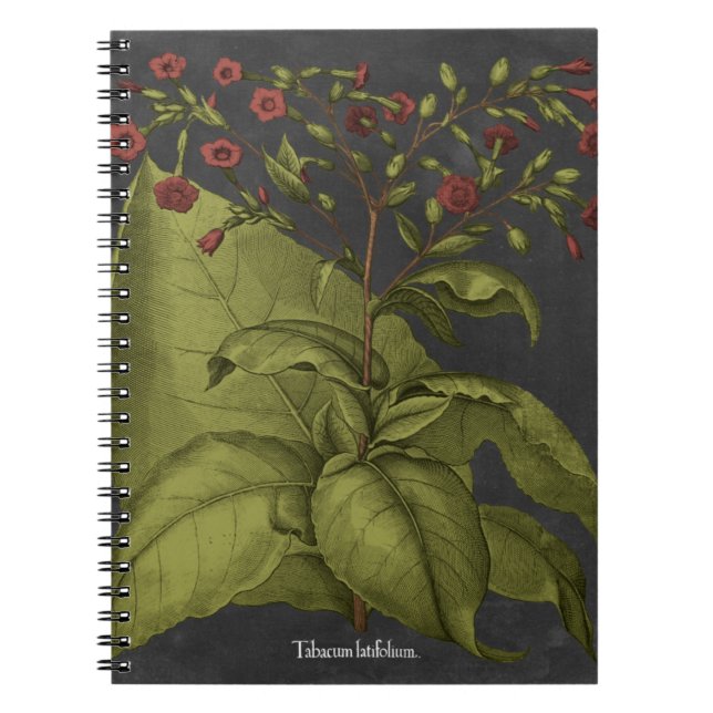Cuaderno Besler Dramatique I (Frente)