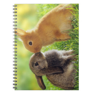 Cuaderno Beso del conejito
