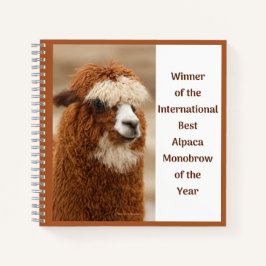 Cuaderno Best Alpaca Monobrow