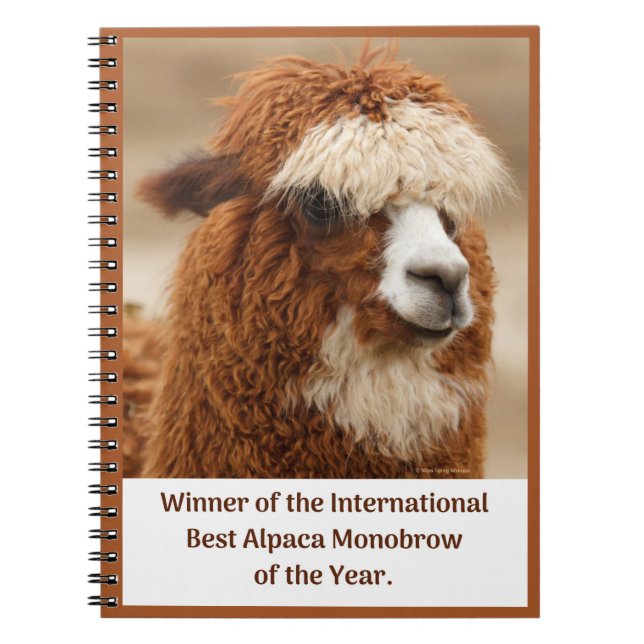 Cuaderno Best Alpaca Monobrow (Frente)