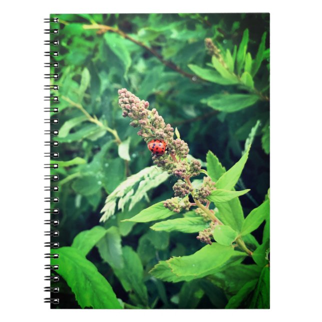 Cuaderno Bicho de lodo en primavera (Frente)