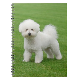Cuaderno Bichon Frise