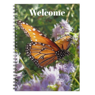 Cuaderno Bienvenida Monarch Butfly Photo Guest Comment