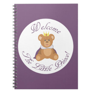 Cuaderno Bienvenidos El Principito