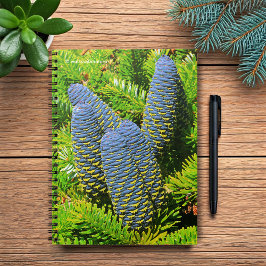 Cuaderno Big Blue Coreano Fir Cones