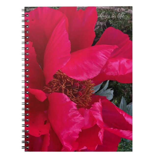 Cuaderno Big Bold Red Peony (Frente)