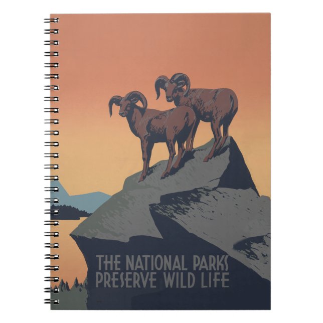 Cuaderno Bighorn Oveja Estadounidense Vida Silvestre Occide (Frente)