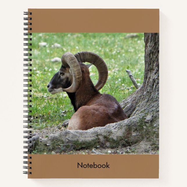 Cuaderno Bighorn Ram Notebook (Anverso)